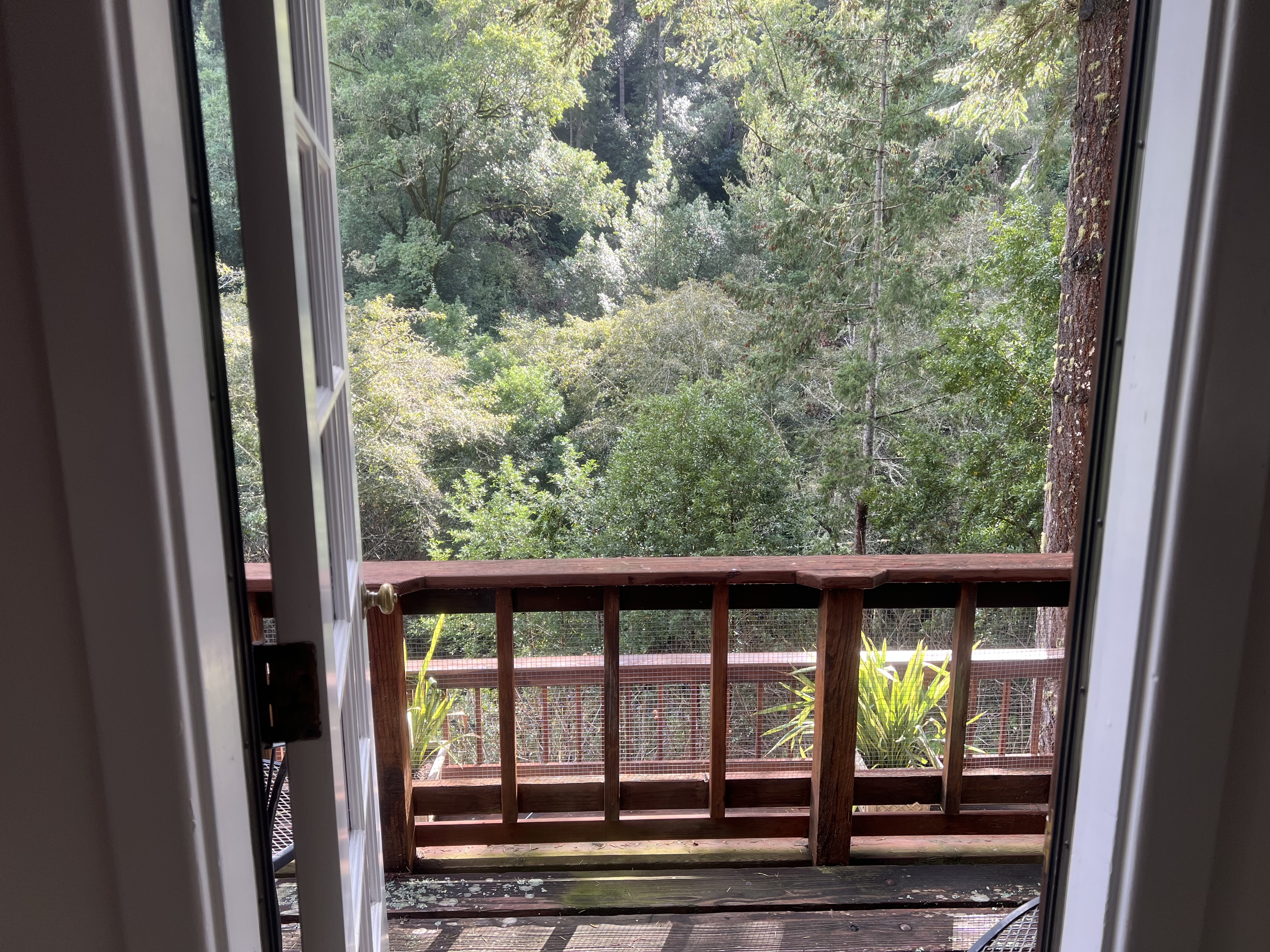 Overlooking the main deck